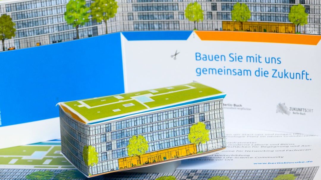 campusbuch's tweet photo. Ab 2023 bietet das #Gründerzentrum #BerlinBioCube Start-ups und jungen Unternehmen auf 8.000qm flexible und moderne Labore und Büros. Bauen Sie mit uns gemeinsam die Zukunft! Bastelbogen zum Download: https://t.co/rVoXQ3wYHg Die Anleitung zum Basteln auf https://t.co/lAq76dZFOL https://t.co/x70y6M4x4v