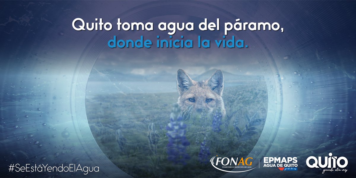 fonag's tweet photo. Día a día @AguadeQuito y @Fonag trabajan para conservar y recuperar las fuentes de agua que abastecen al Distrito Metropolitano de Quito🏞️

👆🏽Haz tú parte, no malgastes el líquido vital. 🚰

¡Juntos cuidamos el agua de Quito! 💙

#SeEstáYendoElAgua https://t.co/ZdGxlcmTd4