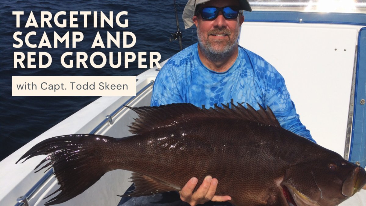 FishPoster's tweet image. Targeting Scamp and Red Grouper with Capt. Todd Skeen conta.cc/3wHp6aC