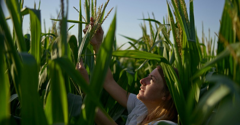 POLITICOStudio's tweet photo. .@Corteva SVP for External Affairs &amp; Chief Sustainability Officer @AnneLAlonzo highlights countless examples of projects and initiatives from around the world reflecting the company’s commitment to sustainable agriculture #InItForGood