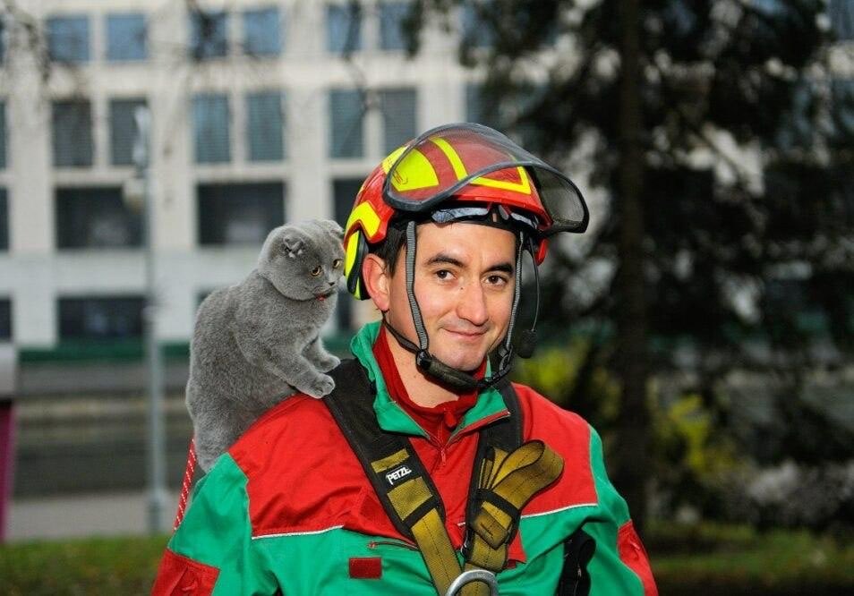 E2zYfXZXEAE01Jb?format=jpg&name=medium