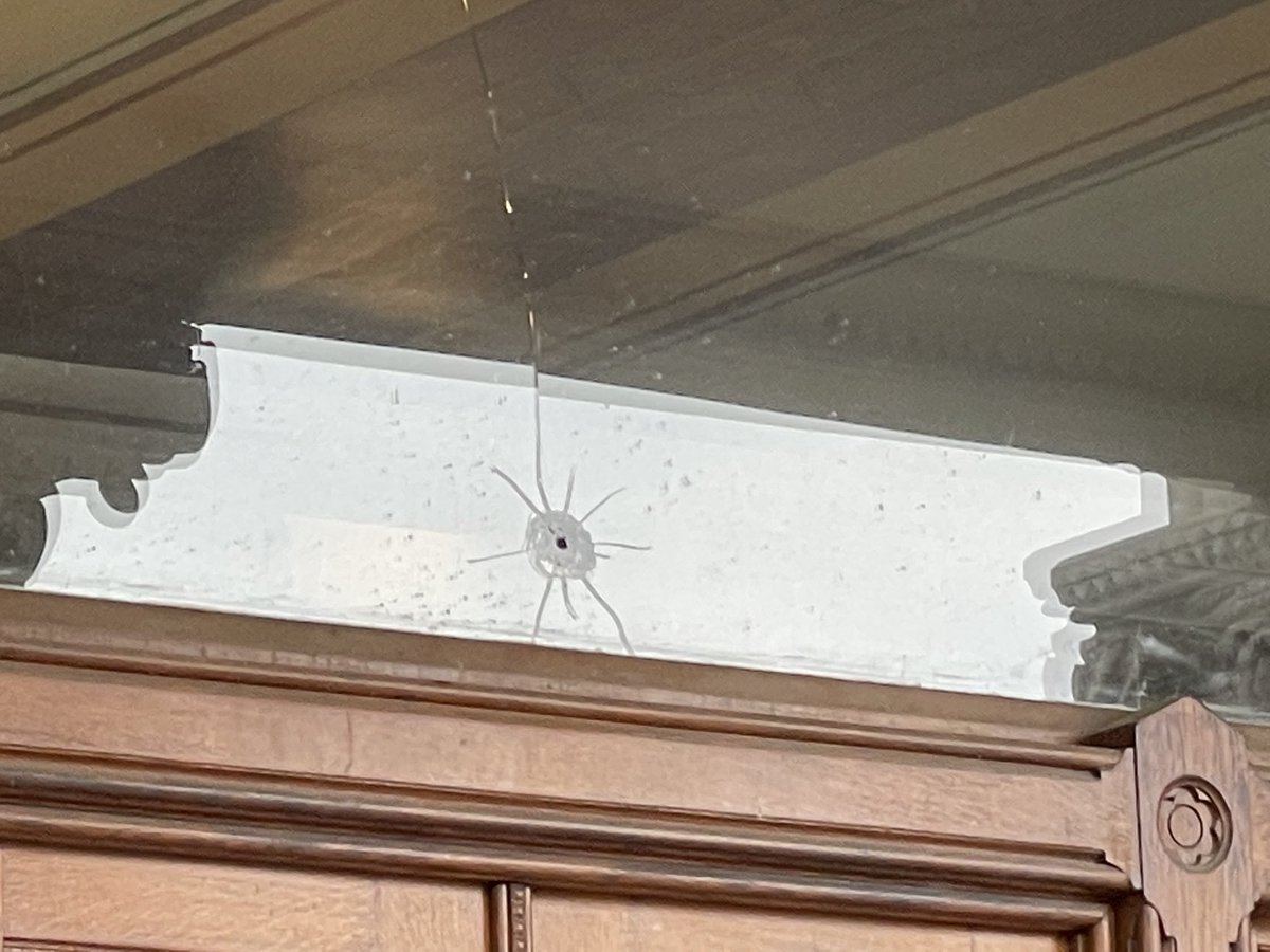 CT Capitol struck by gunfire before business hours. Evidence of three rounds. One heard by shot spotter.