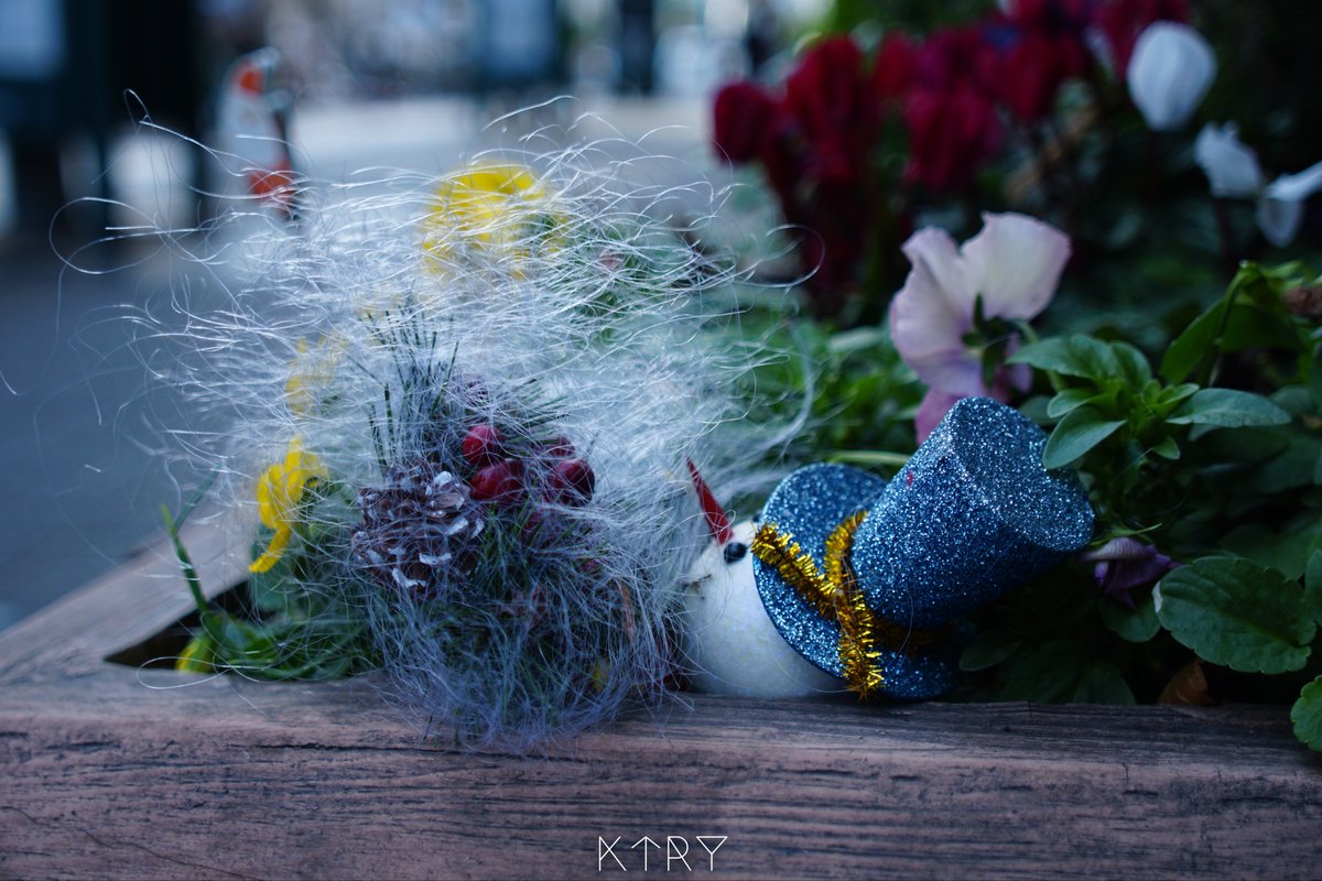 ryh_artpic's tweet photo. old_lens all seasons

#photography #coregraphy #ファインダー越しの私の世界 #キリトリセカイ #lightroom #ktrygallery #camera #α6000 #old_lens

↓Instagramでも投稿しています🙌
#ktrygallery で検索🔍

https://t.co/wPRqA0C0wT https://t.co/IiBiBir6Kh