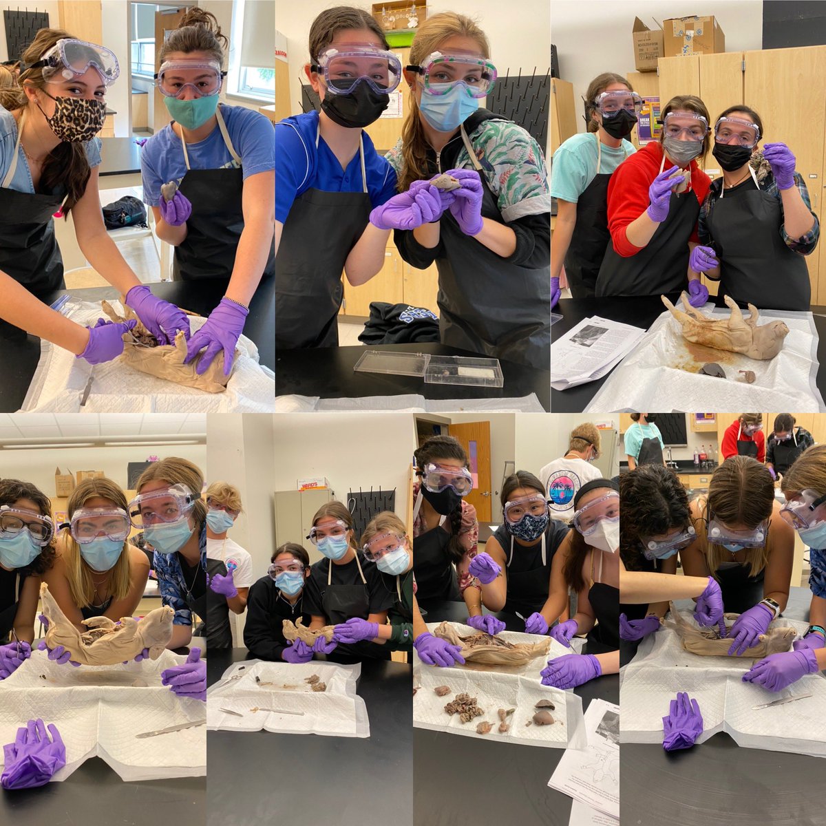 CHS Science tweet media