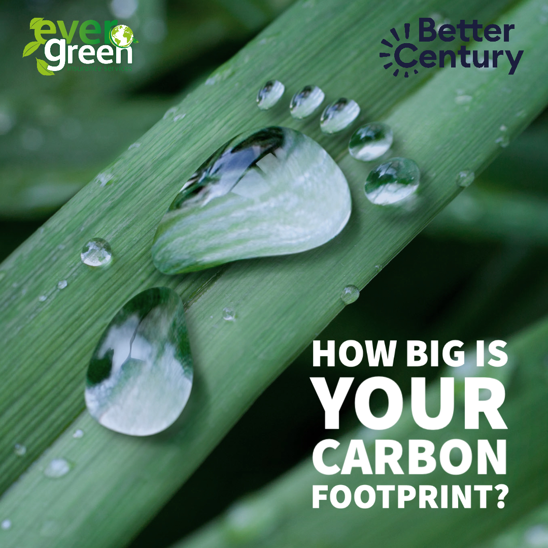 Ethical_Ins's tweet image. @BetterCentury is a community-led site that shares knowledge, experiences and recommendations to reduce environmental impact. 

Join the community today....
⁠
bettercentury.org⁠

#ethicalsolutions #ethicalbusiness