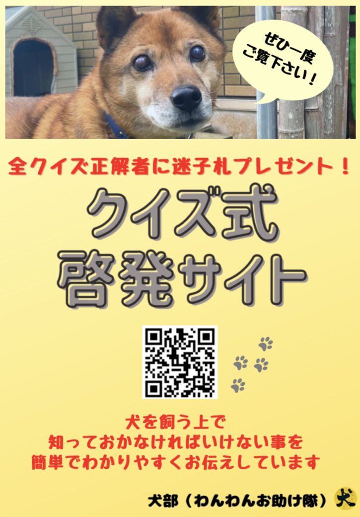 犬を捨てないで Twitter Search Twitter 犬を捨てないで Twitter Search Twitter