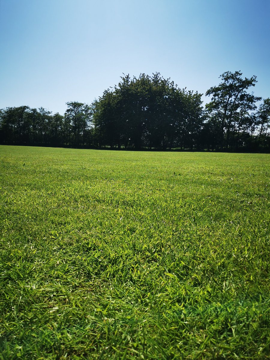MrsDH8's tweet photo. Blue sky, green grass, great company. #tentlife #timetogetaway Half term happiness. https://t.co/kyxKdIbTKm