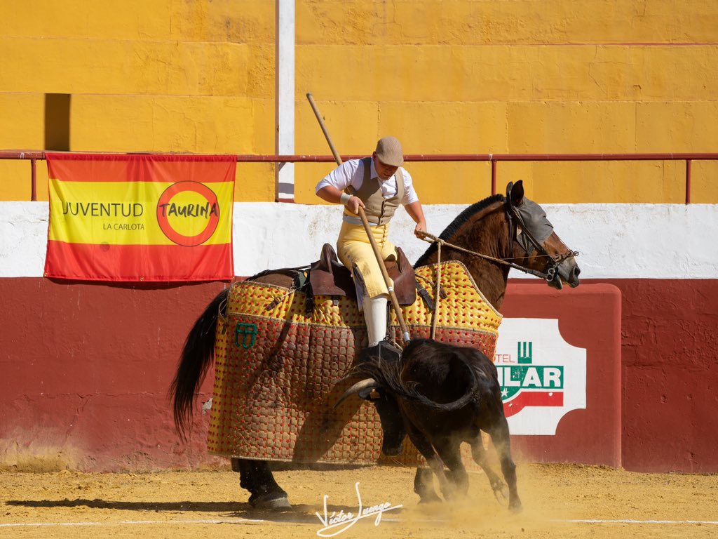 JT_LaCarlota's tweet photo. HAY QUE PICAR / Es una suerte que nos apasiona y es un auténtico privilegio para nuestro Bolsín contar cada edición con @pedromanuelma. Es una maravilla verlo picar.

Gran juego las de @losronceles en este certamen de 2021.

📷 @VictorLuengo https://t.co/kO69sOBPL1