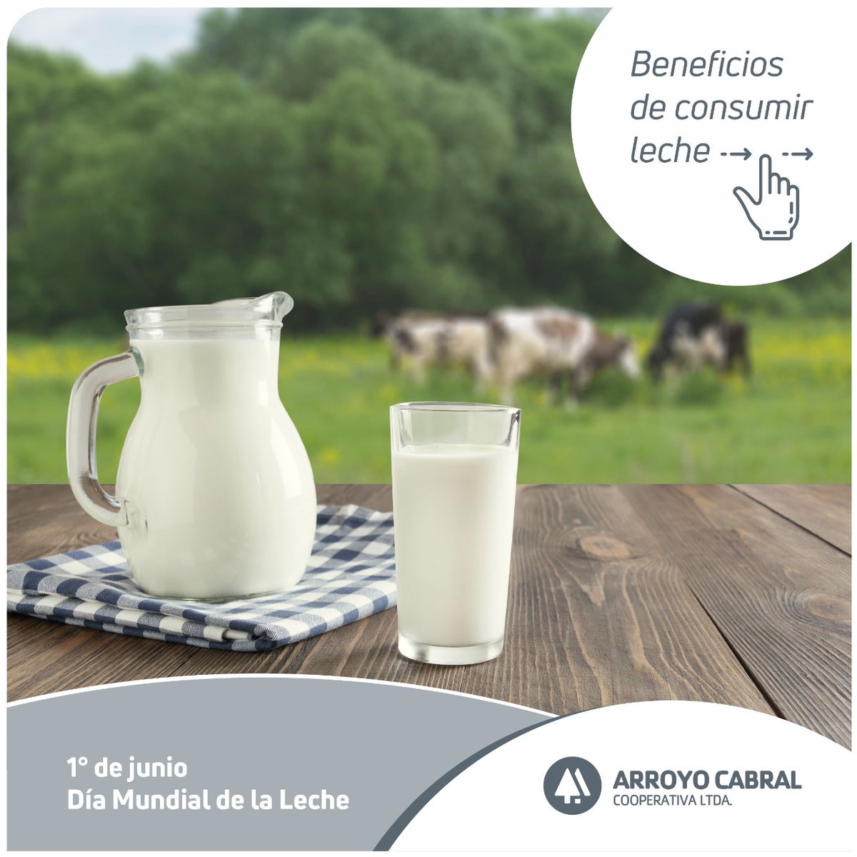 coopacabral's tweet photo. Este 1 de junio celebramos el #díamundialdelaleche🐄🥛, fuente vital de nutrientes. La fecha nació como iniciativa de las Naciones Unidas con el objetivo de concientizar sobre su valor nutricional. ¿Sabías que se recomienda la incorporación de tres porciones de lácteos a diario? https://t.co/yuJxDgzkZz