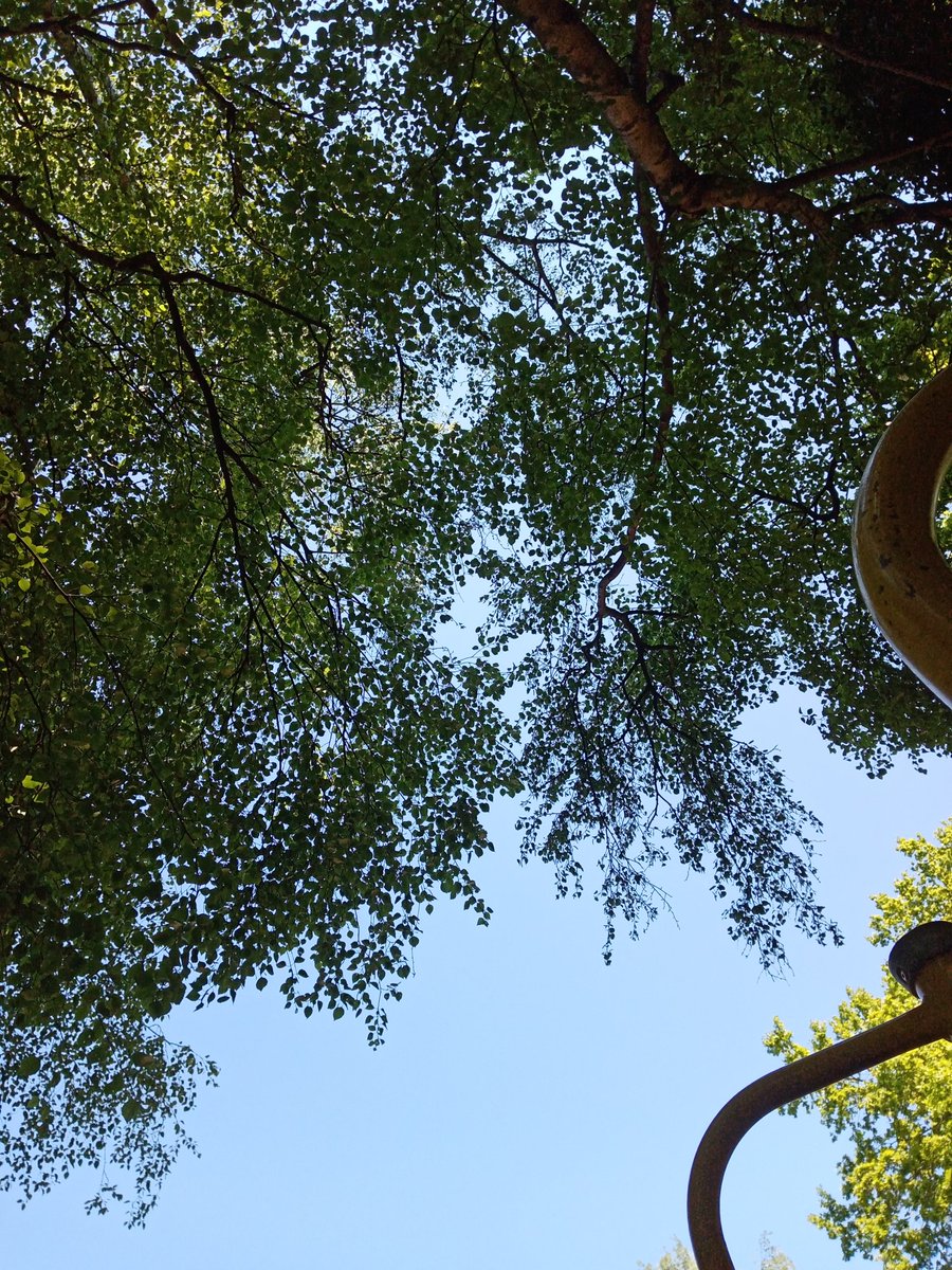 MysticGirl84's tweet photo. Looking at the world from a different angle, can give you a feeling of peace and tranquillity. #LoveNature #NewPOV https://t.co/yAzN3wMAdL