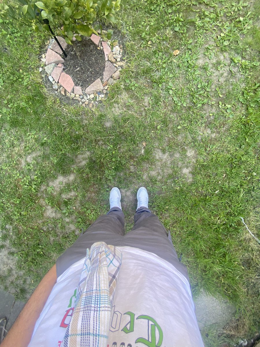 siriusthestr's tweet image. Been a minute 🤷🏽‍♂️