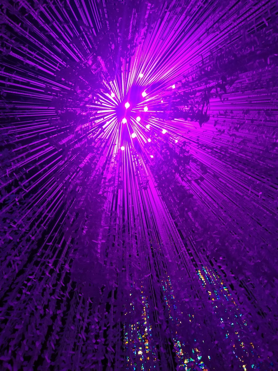 Peace Doves
<a href="/LivCathedral/">Liverpool Cathedral</a> <a href="/Biennial/">Liverpool Biennial</a>
#Liverpool #liverpool2021

by Roxy, L17 (age 10)