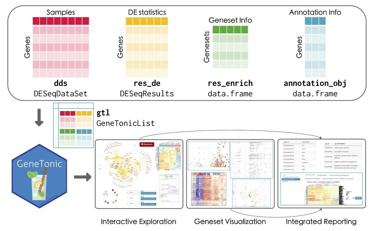 Physalia-courses@ONLINE (@physacourses) on Twitter photo GeneTonic: an R/Bioconductor package for streamlining the interpretation of #RNAseq data
biorxiv.org/content/10.110…
#RStats <a href="/Bioconductor/">Bioconductor</a> GeneTonic: an R/Bioconductor package for streamlining the interpretation of #RNAseq data
biorxiv.org/content/10.110…
#RStats <a href="/Bioconductor/">Bioconductor</a>