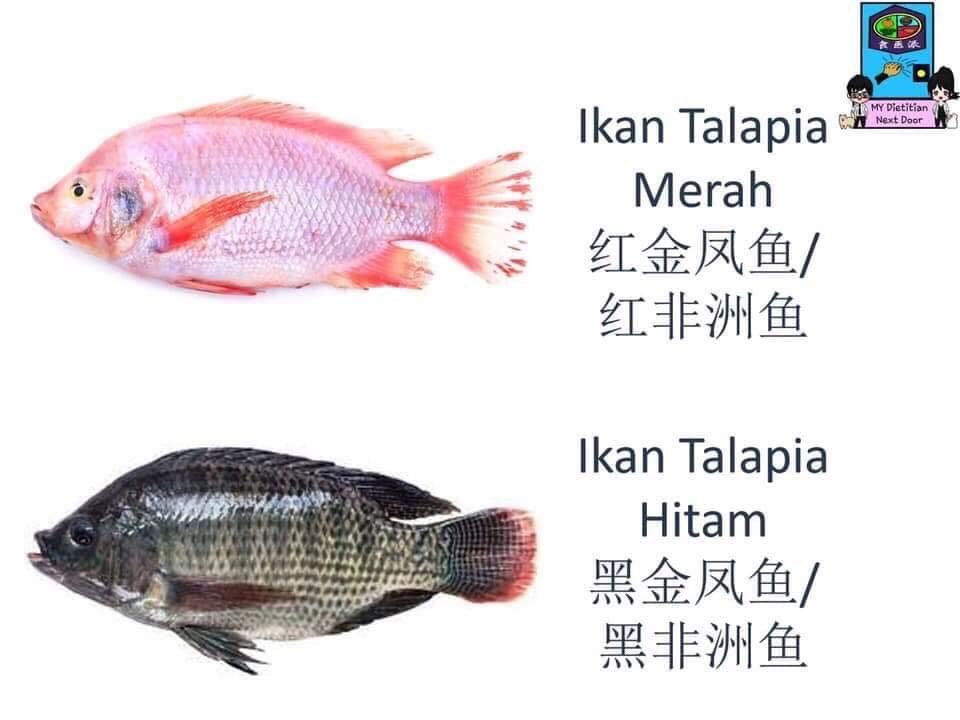 Baik lelaki ataupun perempuan, korang wajib tahu benda ni!!