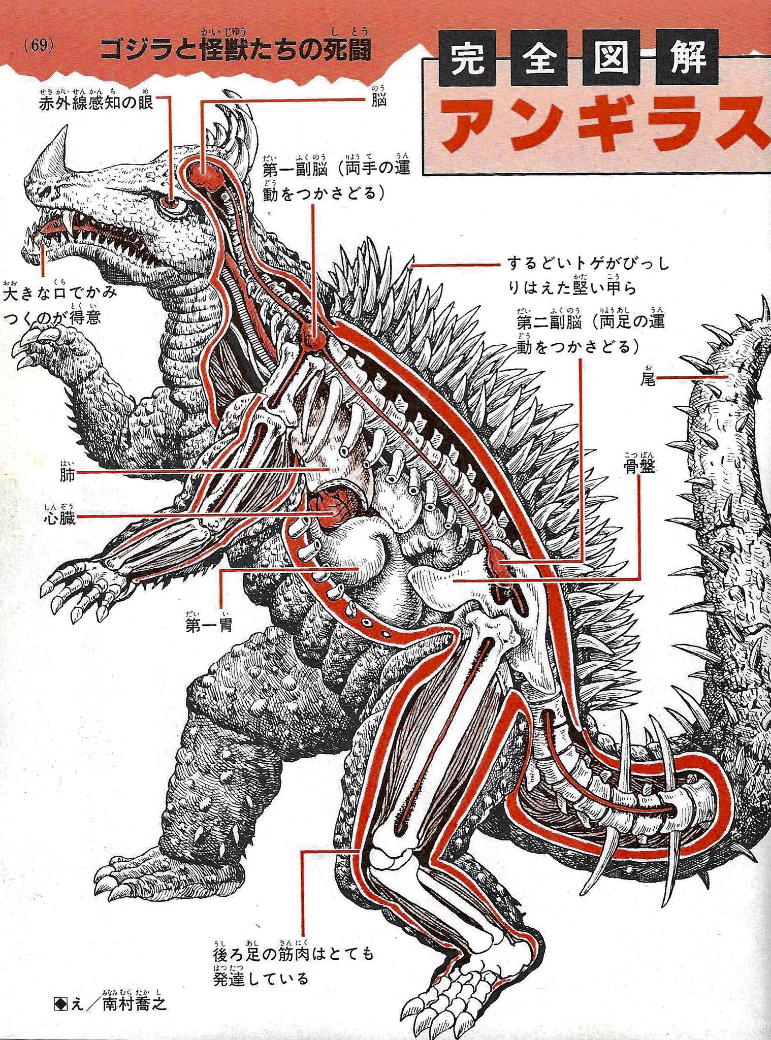 Monster Island Buddies on Twitter: "The insides of Godzilla’s friends ...