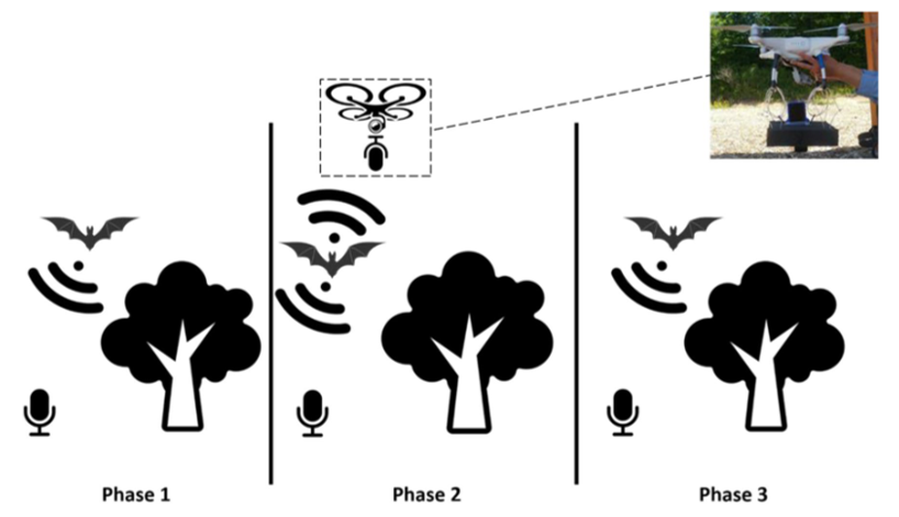 Kyle Elliott tweet media