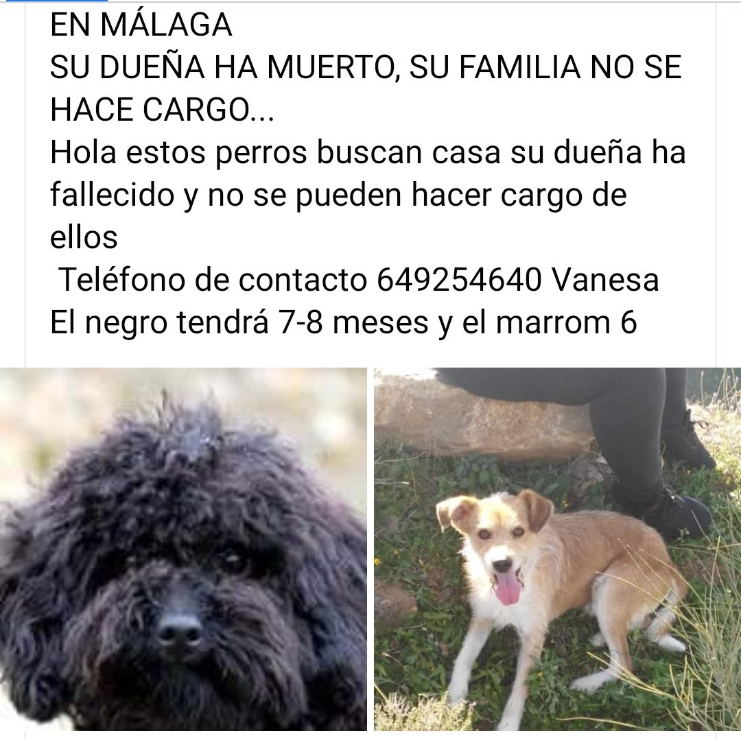 Yolanda tweet media