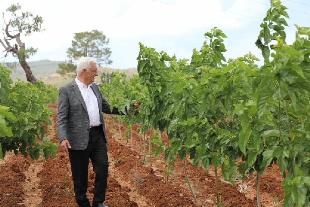 Osman Gürün