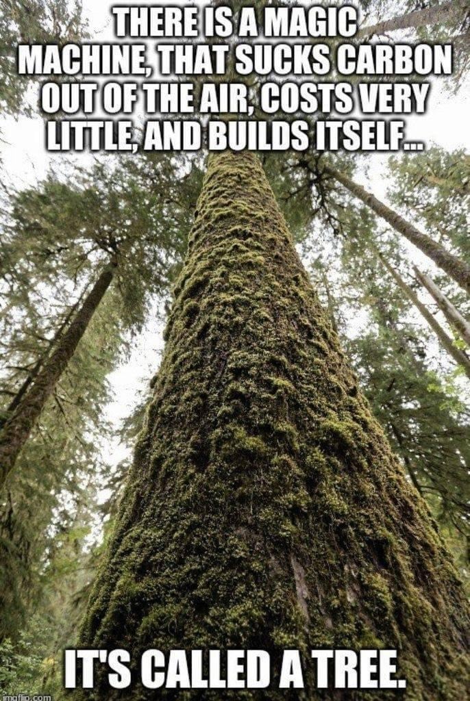 True story.

#ForestFriday #ClimateAction