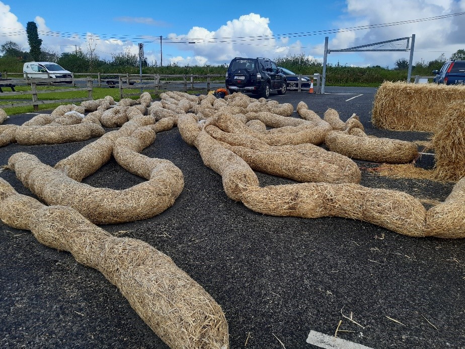 Inland Fisheries Ireland tweet media