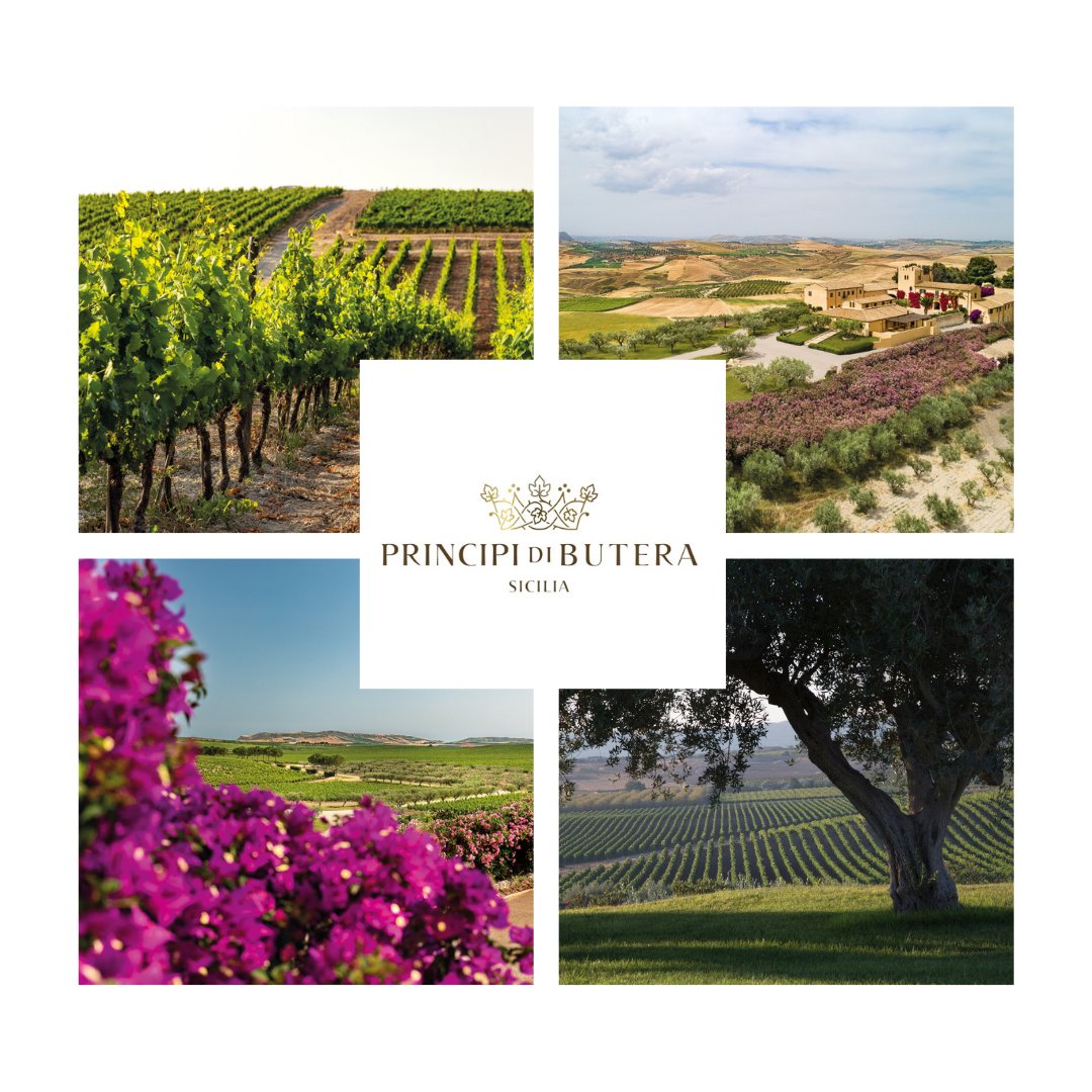 Principi di Butera - Sicily An ancient feudal domain located in a luxuriant and peaceful oasis in Sicily. An outstanding site for vines, where the coastal breezes nurture the local varieties, in order to make wines that are warm, intense and full of sunshine.