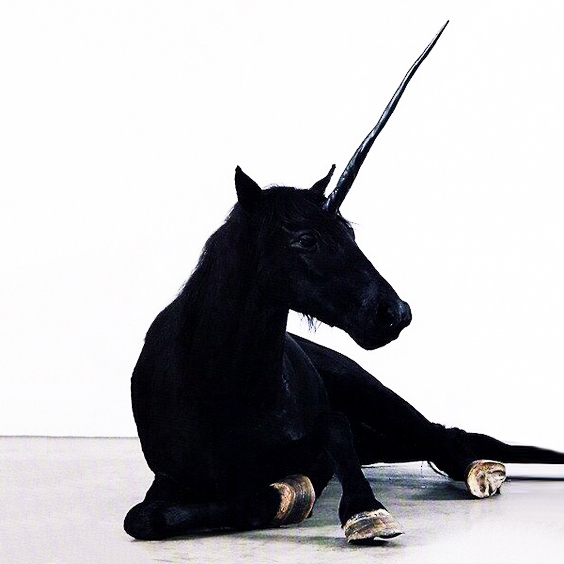 999Krust's tweet image. 