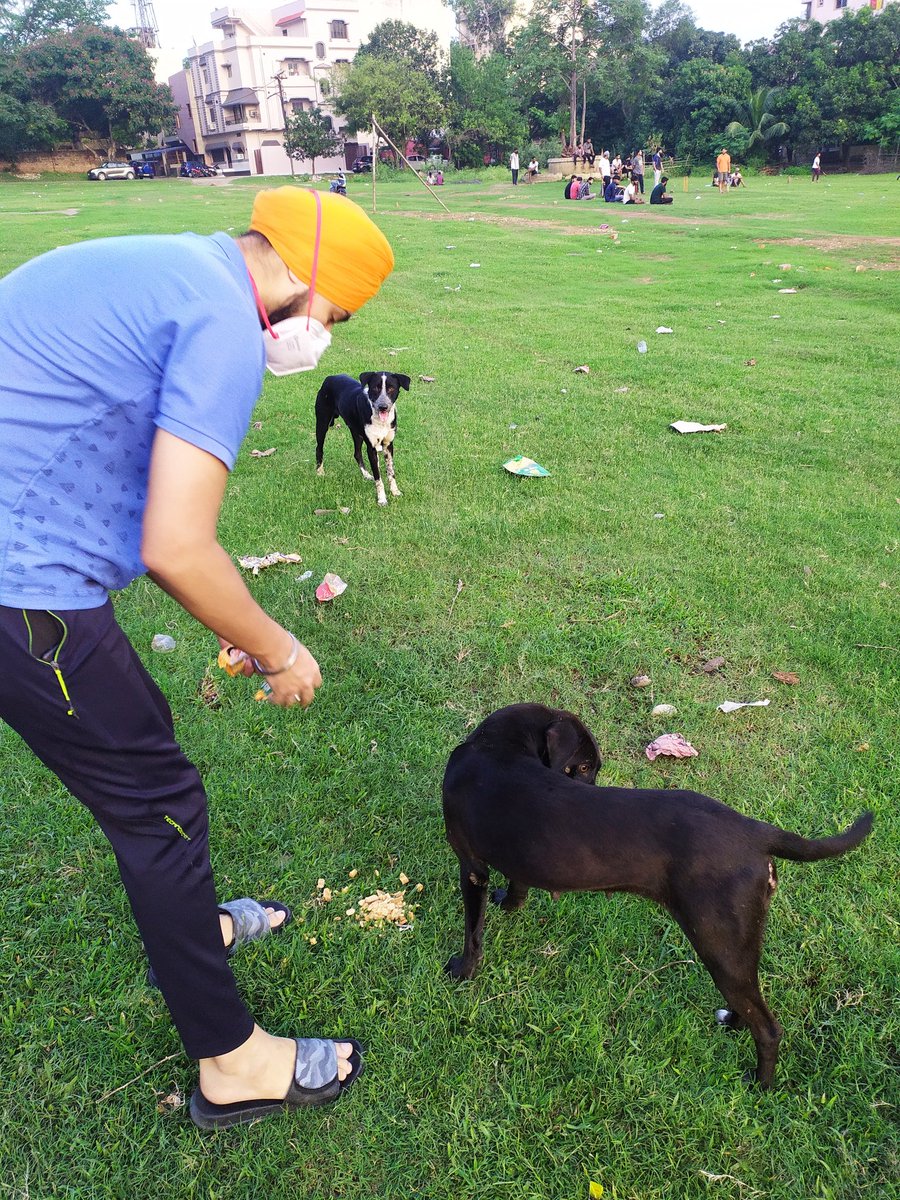 rajdeepsandhu_'s tweet photo. Help Stray dogs near your locality ❤🐶🙏 #respectstraydogs #helpstreetdogs #COVID19 https://t.co/oo4UGOuXad