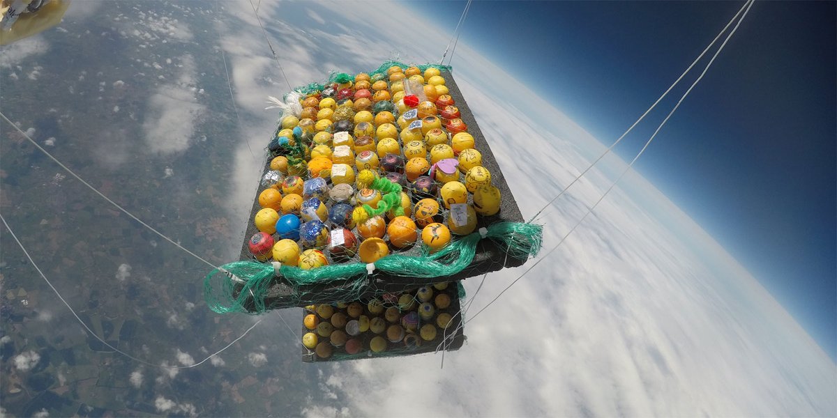 EdAcadScience's tweet photo. @edinburghacad 3rds Mars Balloon Experiments ready for launch! Exploring the effects of Martian-like conditions on seed germination, material properties of pencil erasers, pH testing of upper atmosphere, COVID Lateral Flow test accuracy and lithium ion batteries!@STEMLearningUK https://t.co/SzB3rxJ0Ce