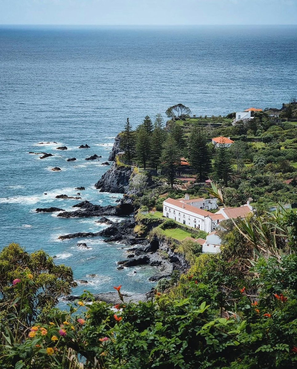 NatureVSCO's tweet photo. Açores, Portugal 🇵🇹💚
via: aicila_b https://t.co/xskCPEM34M
