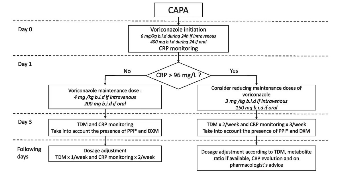 Grupo PK.gen SEFH tweet media