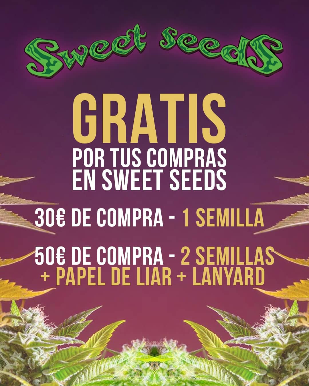Papel Raw para fumadores - La Huerta Grow Shop