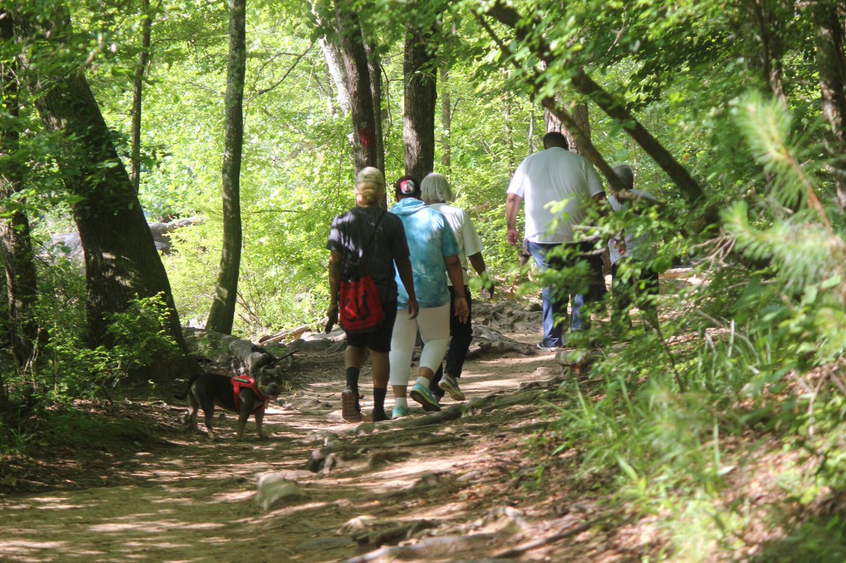 JohnLSanders6's tweet image. We all exercised today!! State Representative @RepRogerBruce61 @rowel70  Trina A. Ko and  Legislative Liaison￼ Phil Lunney, I’m tired!
#GaDistrict61 #TheExecutiveAide 
#SweetWaterStatePark