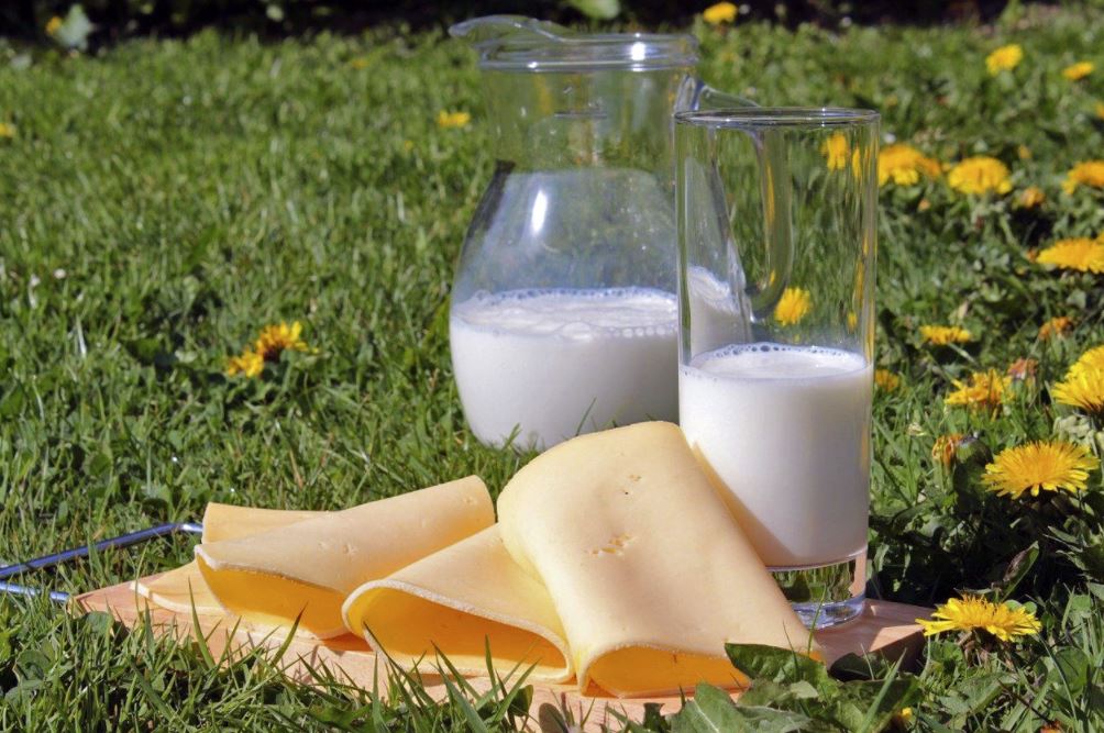 Today is world milk day! 🐄
We have a few ideas to help you produce milk, and the products made from it, efficiently and sustainably.
Check out our products that are ideal for temperature measurement in milk processing.

jumousa.com/en_US/industry…