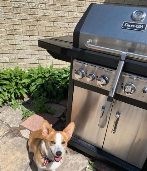 Dyna-Glo tweet media