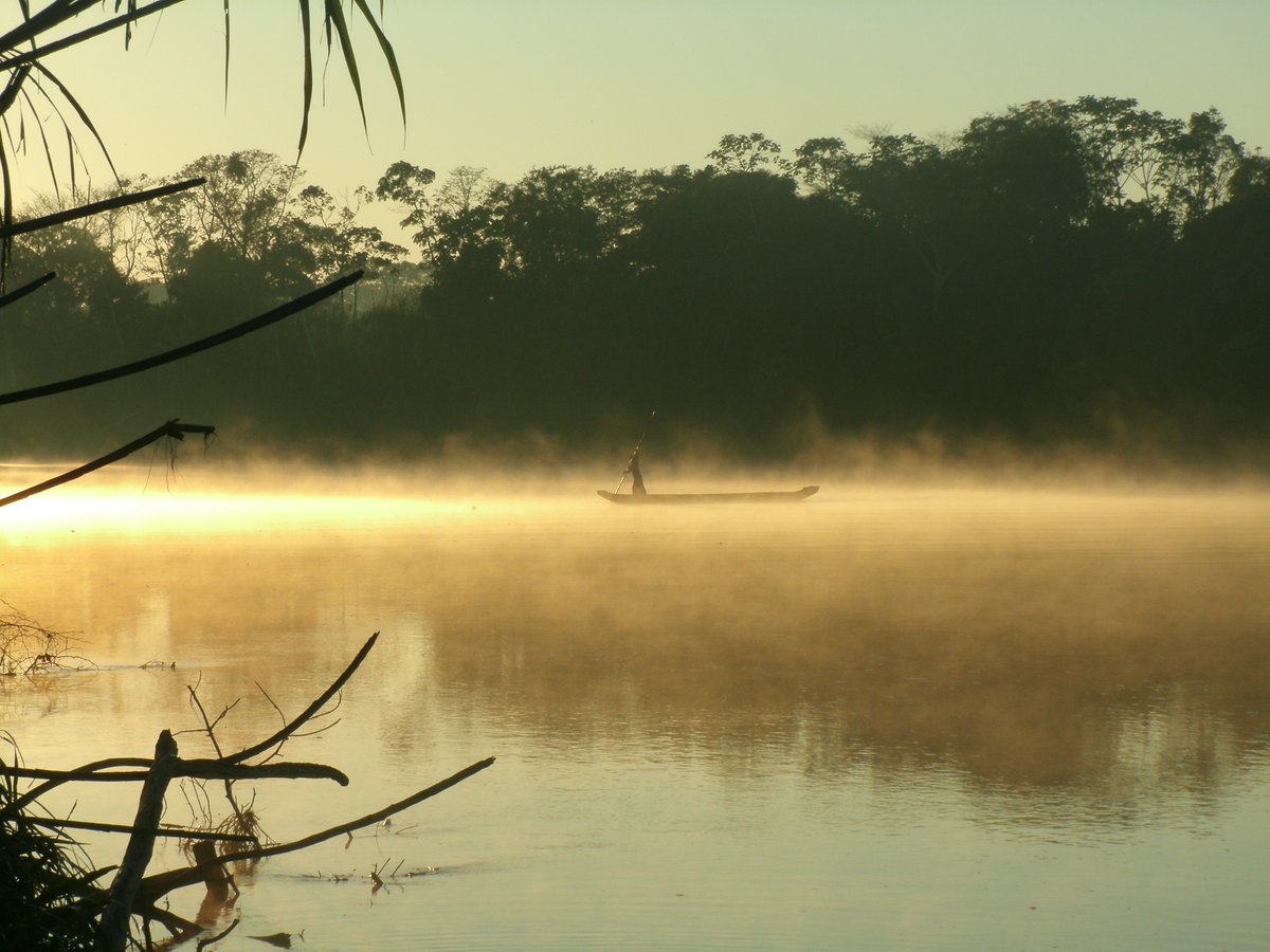 Are the effects of #inequality on #health universal? In @eLife, Dr @AaronDBlackwell & others find that among the Tsimane, individual & community poverty mean higher blood pressure, but many other health effects of inequality are absent: elifesciences.org/articles/59437 📷@JaeggiAdrian