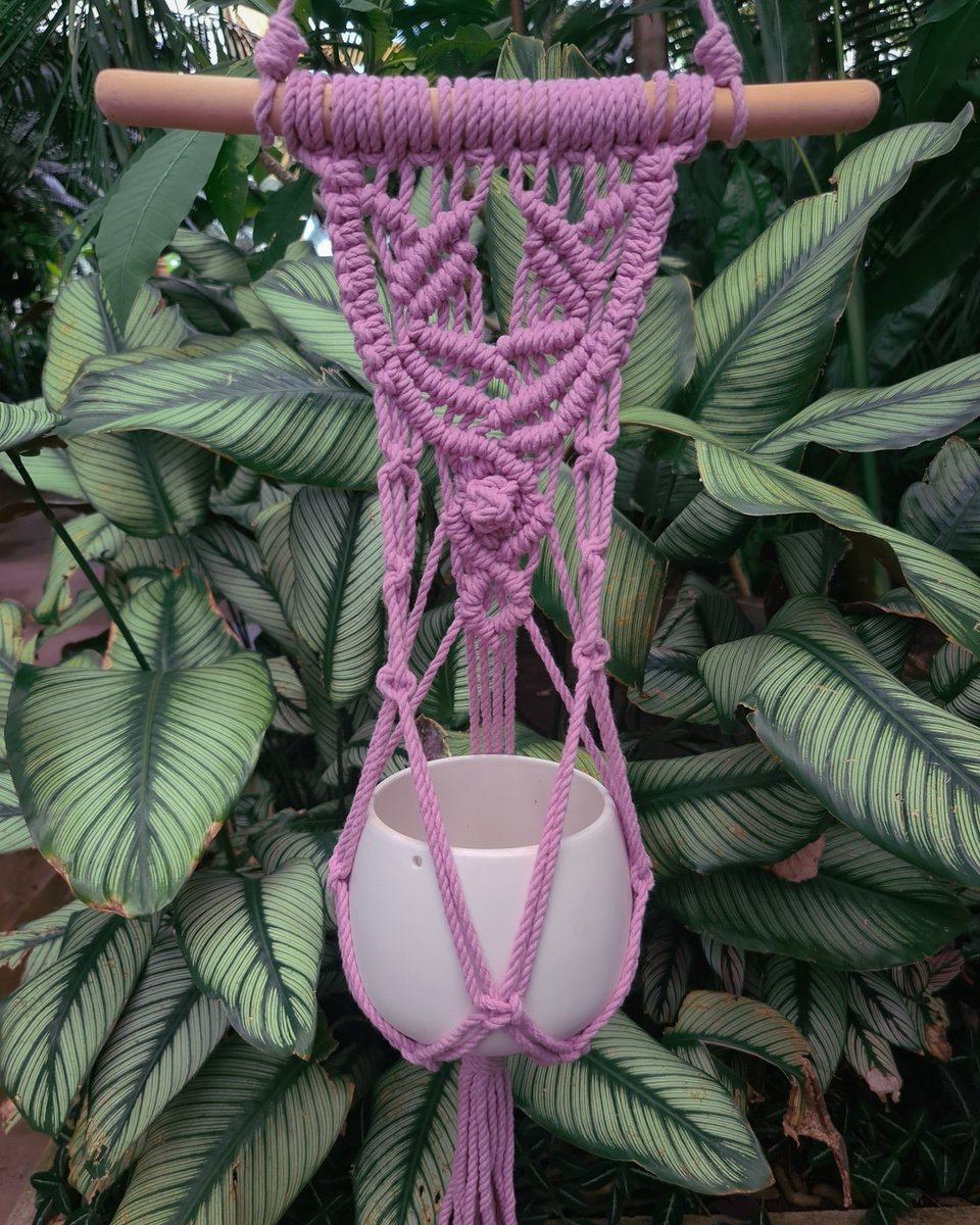 Details... Deco Dusty Pink 
#planthanger #macrame #handmade #kewgardens #nature #goeppertia #prayerplant #plantlove #calathea #boholiving #flauntyourleaves #greenyourfeed @kewgardens
instagram.com/p/CPlGJgOAorT/…