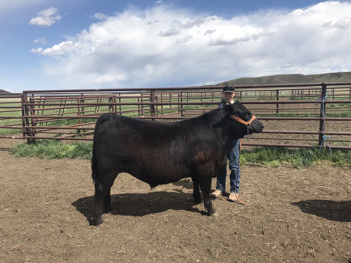 Ashleigh tweet media