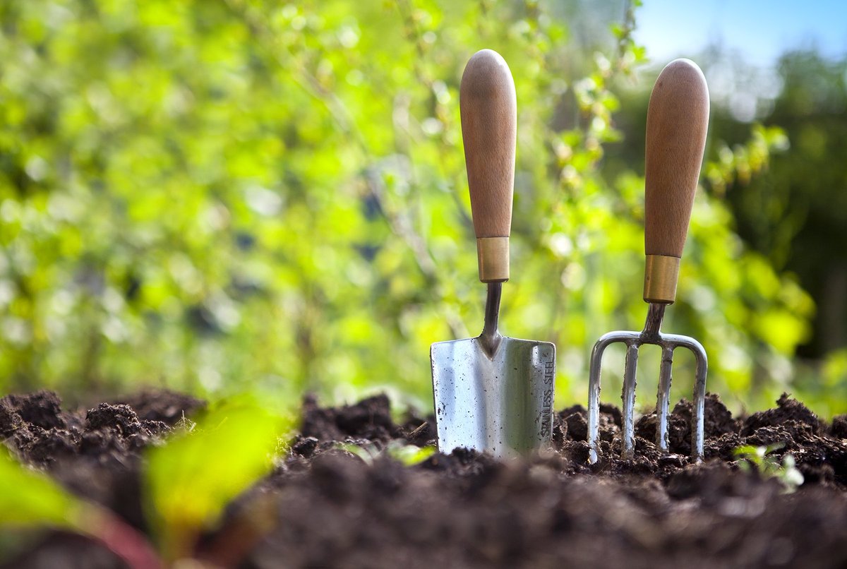 Creative_Gardn's tweet photo. Life begins the Day , You Start Gardening ❤️🌿🌻
.
.
.
#Wednesdayvibe #Garden #gardening #Flowers #peace https://t.co/AXHeimEpP7