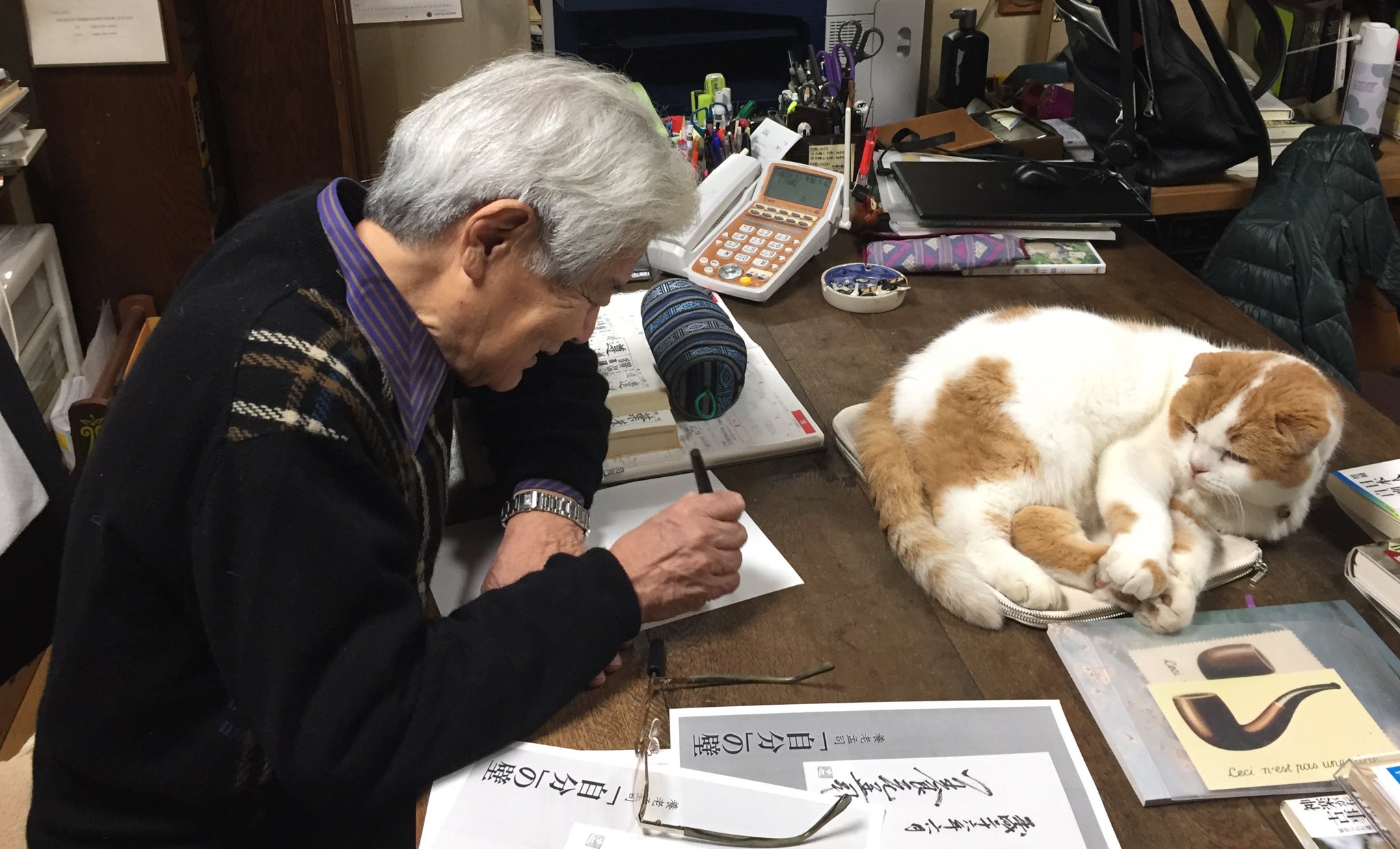 足立真穂 養老先生と猫のまる 名コンビの鎌倉での日常を伝えるドキュメンタリー まいにち 養老先生 ときどき まる の再放送 決まったとのことです 7 18 日 総合テレビ 午後2 2 59 写真は書斎にて 仕事中の先生を見守るような もしか