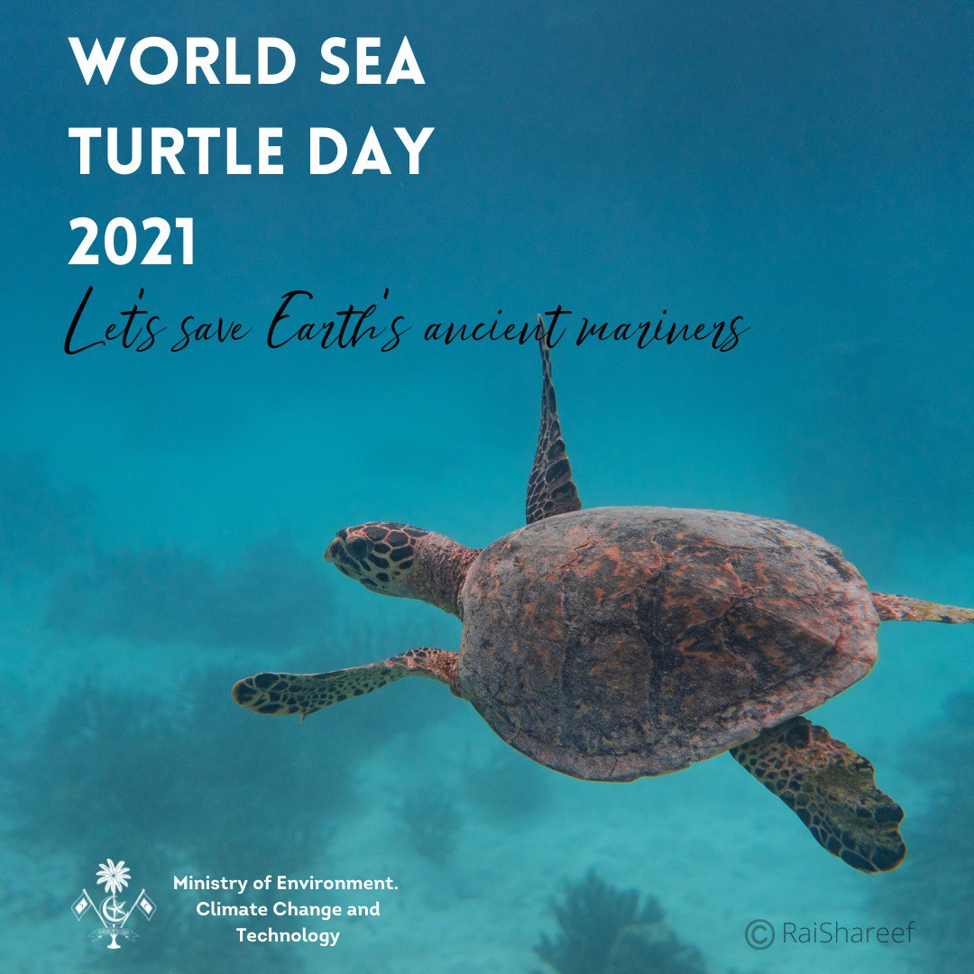 Min Of Environment Climate Change And Technology Today Is World Sea Turtle Day Earth S Ancient Mariners Have Been Navigating Our Oceans For Millions Of Years Throughout Today We Will Be