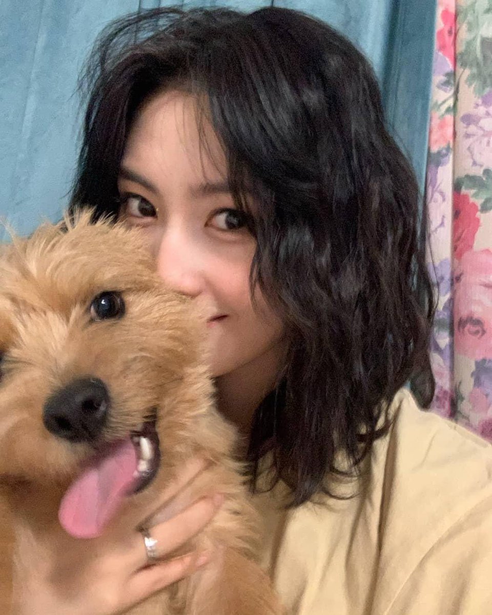 Twice 和訳 Information モモ Instagram 更新 アルコールフリーなのに酔ってるブー Twice 트와이스 Jypetwice 모모 Momo Twice 和訳 Information モモ Instagram 更新 アルコールフリーなのに酔ってるブー Twice 트와이스 Jypetwice 모모 Momo