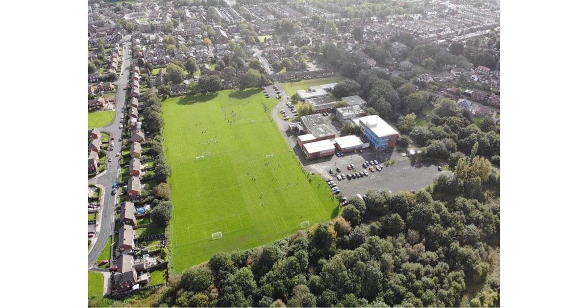 Seedfield Sports JFC tweet media