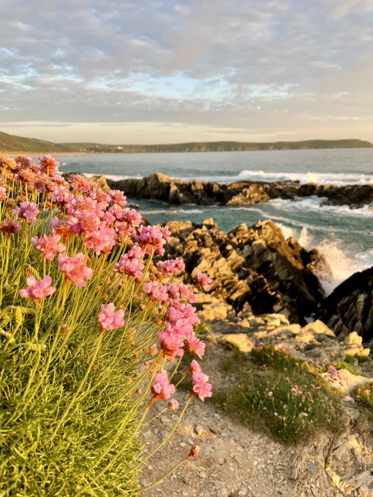 Let us share our fabulous North Devon sunset show. BYO blanket and bubbles. There’s no charge. Just leave no trace. #Woolacombe #swcoast #NorthDevon #Devonlife #camping #beachvibes #beachlife #sunsetphotography #sunset