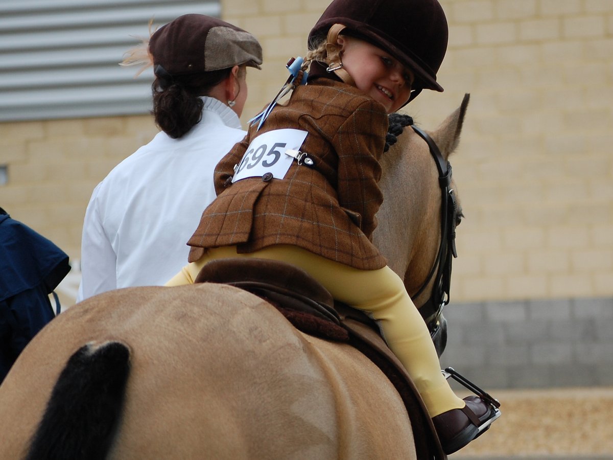 Have you got your entries in?

Or do you think you and squeeze one more in! The schedule is online and ready for you to check out. 

#equifest #equifest2021 #equestrian #horses #workinghunter #horseshowing #pony #horseshowlife