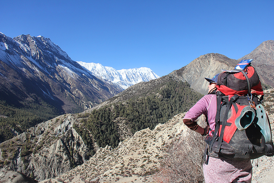 Without a celebration of our ecosystems, there will be no harmony, perhaps even no whole from the parts. It is time to recognize the presence of our ecosystems. It is time to learn to celebrate our ecosystems.

pune365.com/celebrating-ou…