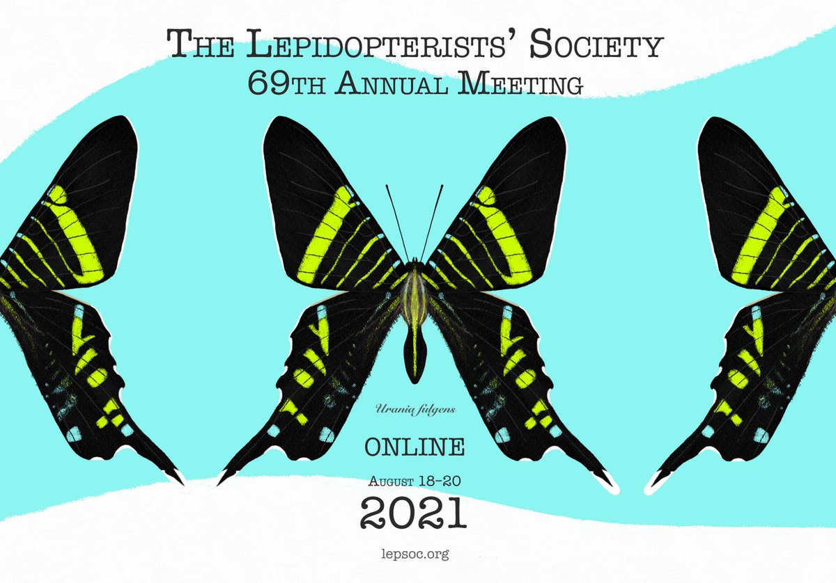 Registration - virtual annual conference - Lepidopterists’ Society, Southern Lepidopterists’ Society, Association for Tropical Lepidoptera, Societas Europaea Lepidopterologica at lepsoc.org/content/2021-a… Members $15, non-members $25, all students $5. Abstract deadline July 16th.