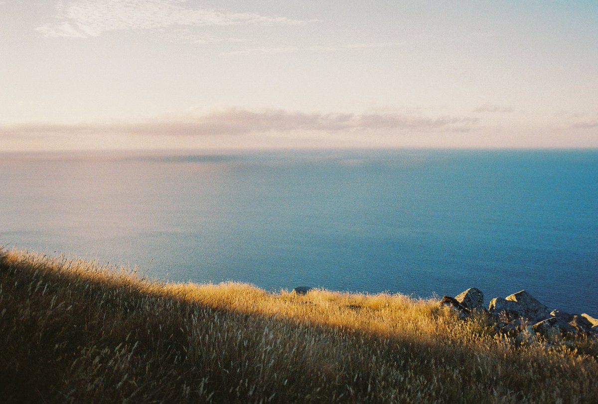 Dean Harvey tweet media