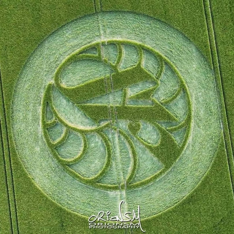 alikosmo's tweet photo. NUEVO CROP CIRCLE EN REINO UNIDO.
Nuevo #CropCircle es reportado en #HackpenHill #Wiltshire #ReinoUnido este dia 15 de #Junio del 2021.
Fotografías presentadas por
#SIMONMANW
#ALIENSAVKOSMOS
#REPORTEOVNICOAHUILAMX https://t.co/LCRovEAXyb