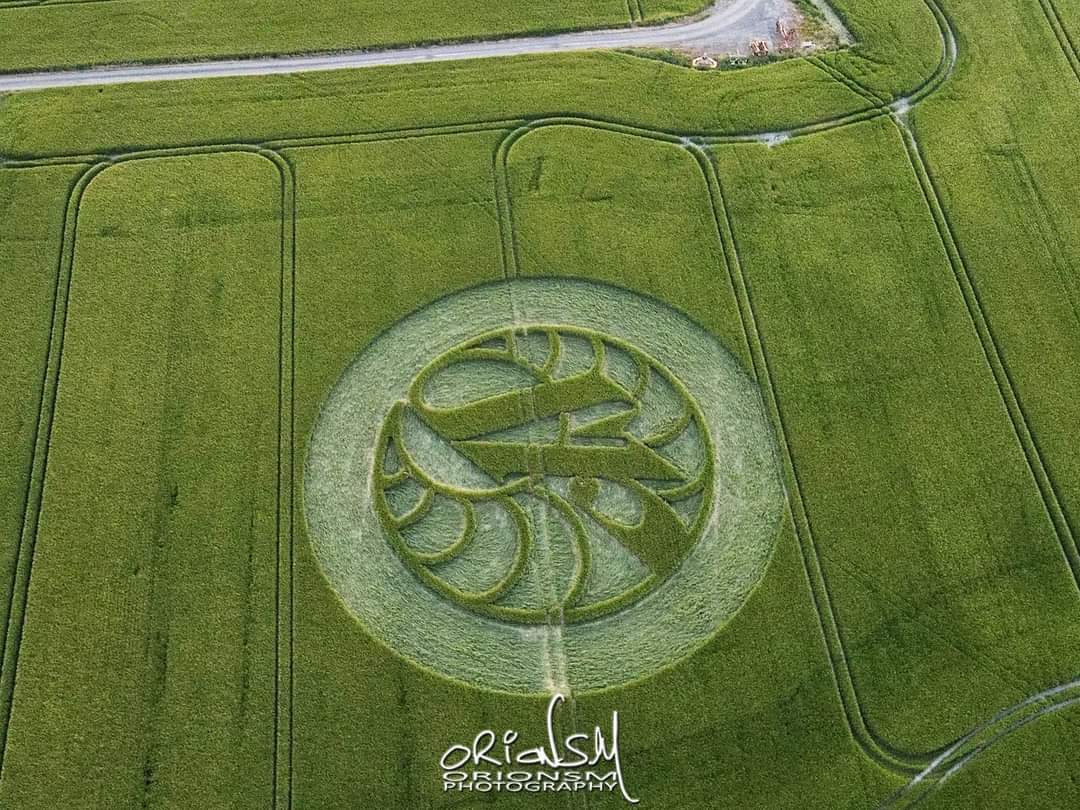 alikosmo's tweet photo. NUEVO CROP CIRCLE EN REINO UNIDO.
Nuevo #CropCircle es reportado en #HackpenHill #Wiltshire #ReinoUnido este dia 15 de #Junio del 2021.
Fotografías presentadas por
#SIMONMANW
#ALIENSAVKOSMOS
#REPORTEOVNICOAHUILAMX https://t.co/LCRovEAXyb