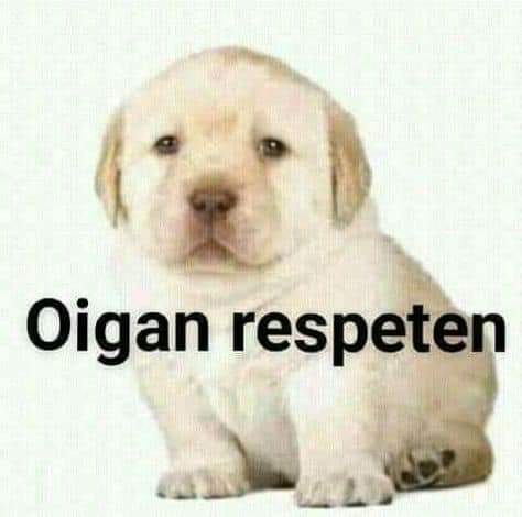 ᅠᅠᅠᅠᅠᅠᅠᅠᅠᅠᅠᅠᅠᅠᅠᅠᅠᅠᅠᅠᅠ
ᅠᅠᅠᅠᅠᅠᅠᅠᅠᅠᅠᅠᅠᅠᅠᅠᅠᅠᅠᅠ